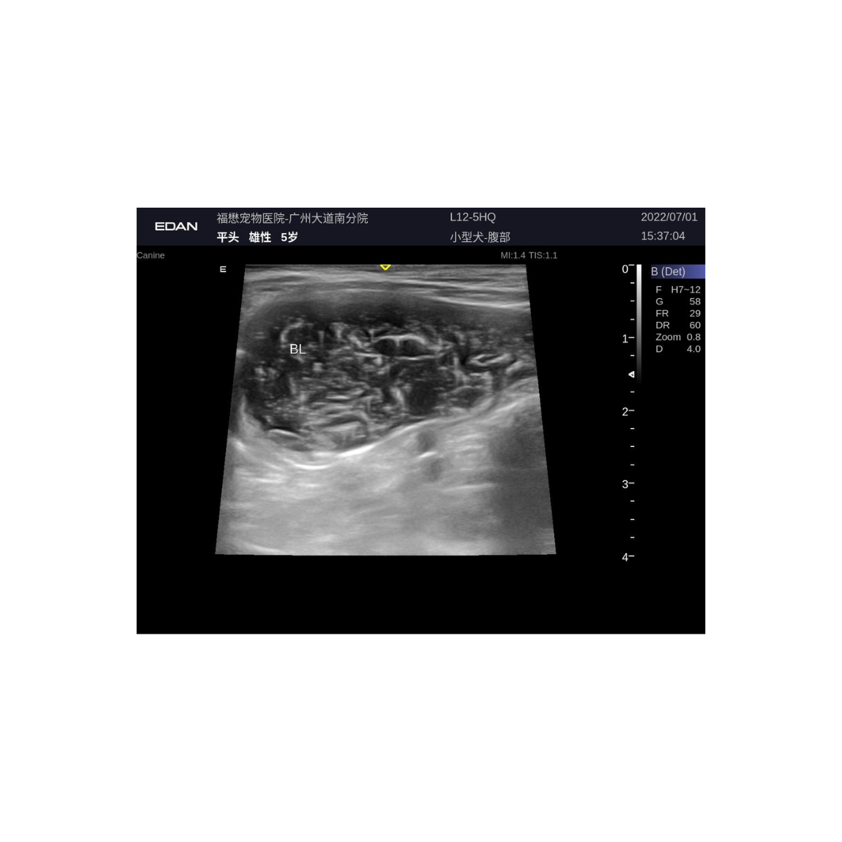 Edan Acclarix LX3 Vet 7