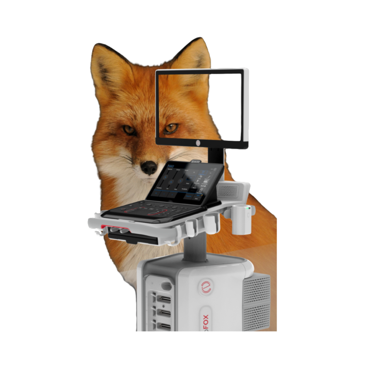Esaote MyLab™FOX 1