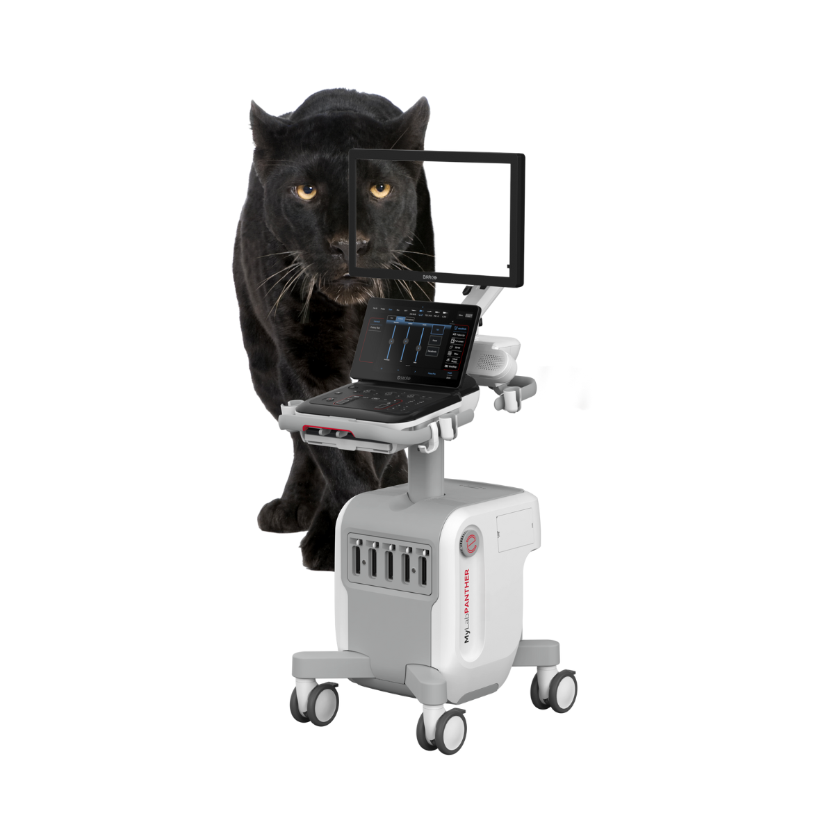 Ecógrafo Esaote MyLab Panther 1