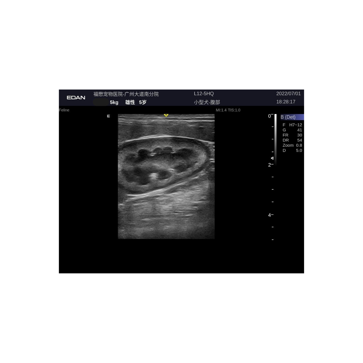 Edan Acclarix LX9 Vet 6