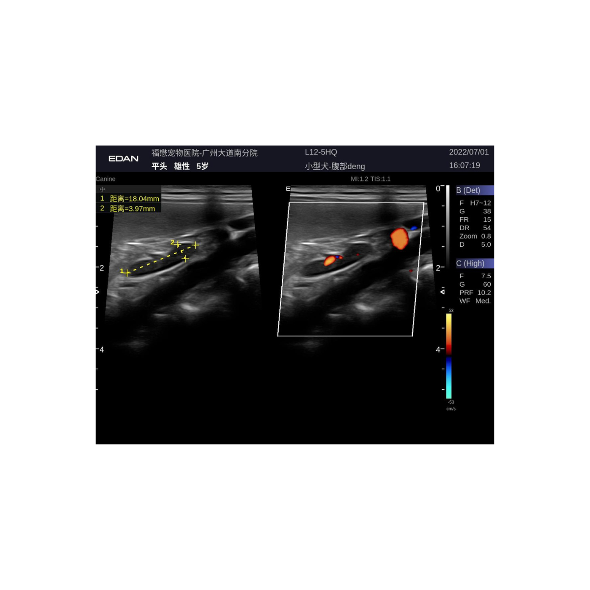 Edan Acclarix LX9 Vet 7