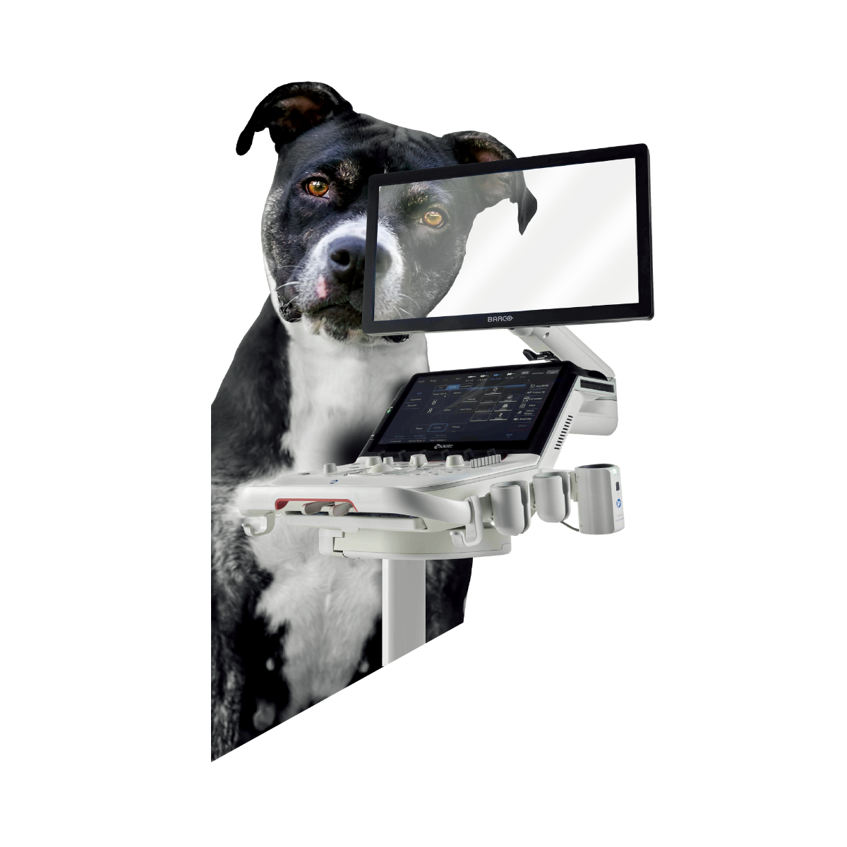 Esaote MyLab™X90 Vet 1
