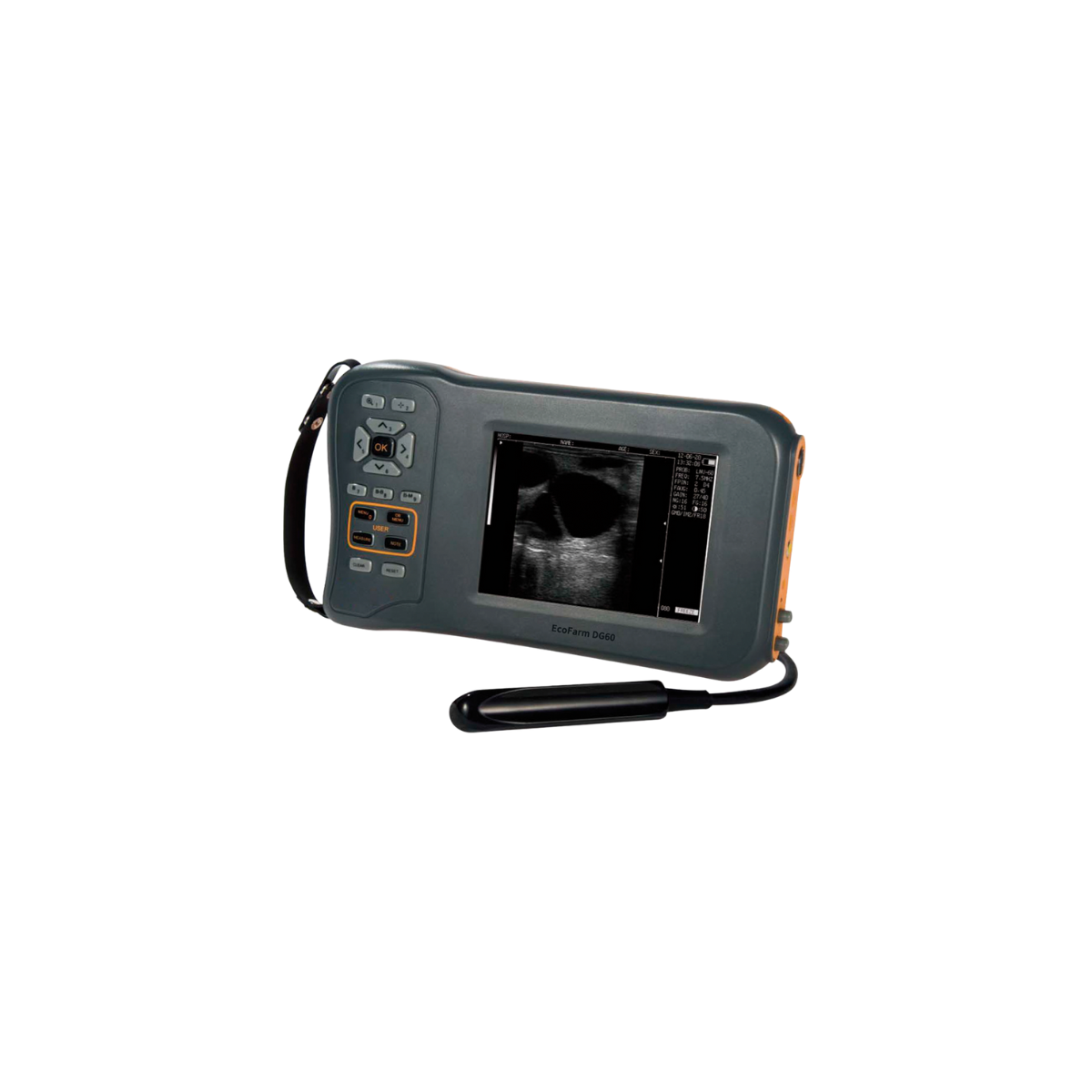 Portable DG60 Vet 1