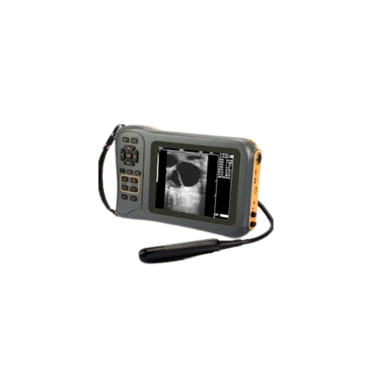 Portable DG60 Vet 2