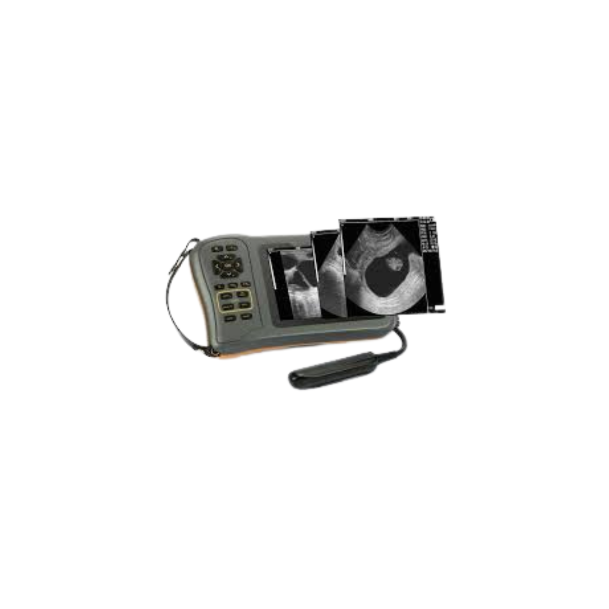 Portable DG60 Vet 5