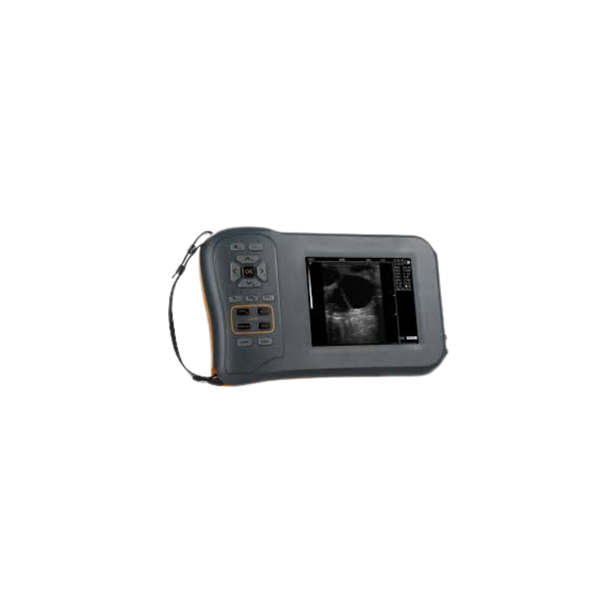 Portable DG60 Vet 6