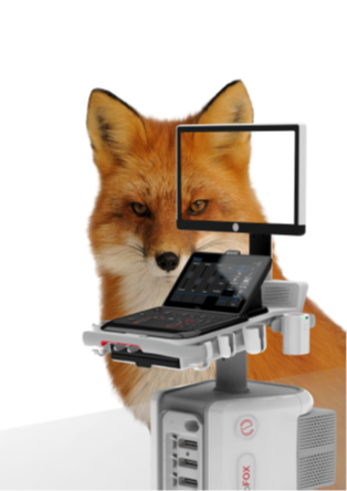 MyLab™ Fox VET1