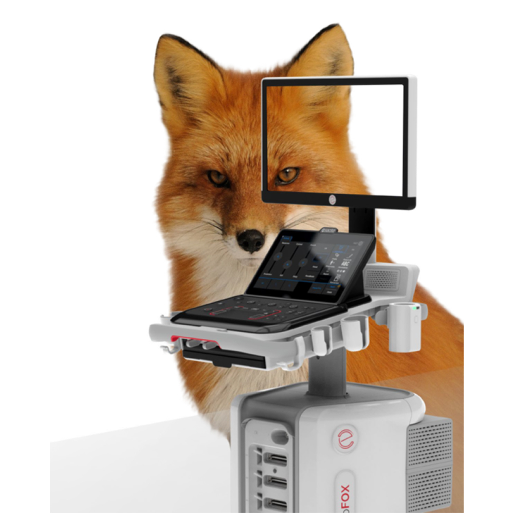 WhatsApp Image 2025-12-09 at 8.42.37 AM