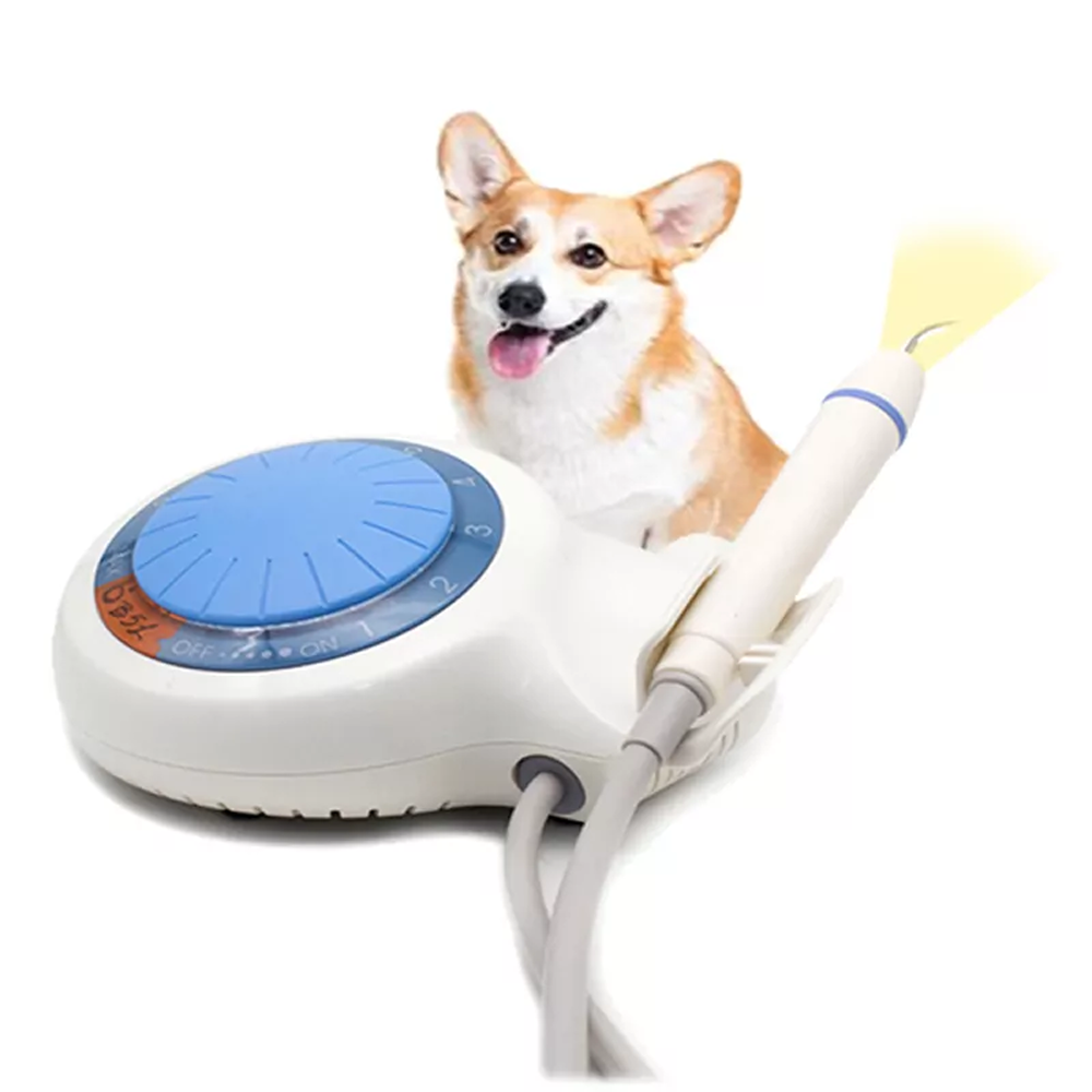 Cavitron 1